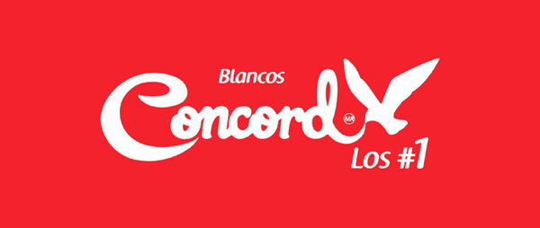 ___011000_photo_2026-02-11_17-22-17